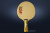 Основание GAMBLER FIRE DRAGON HINOKI FLARED Основание GAMBLER FIRE DRAGON HINOKI FLARED